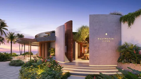 Cove, Dubai Islands: photo 4